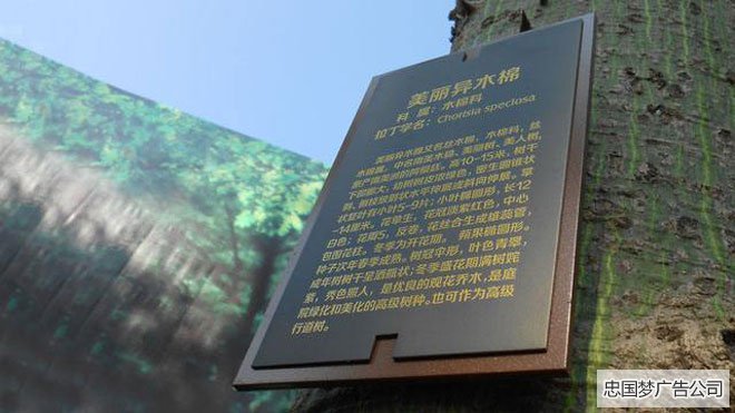 龙泉树铭牌展示