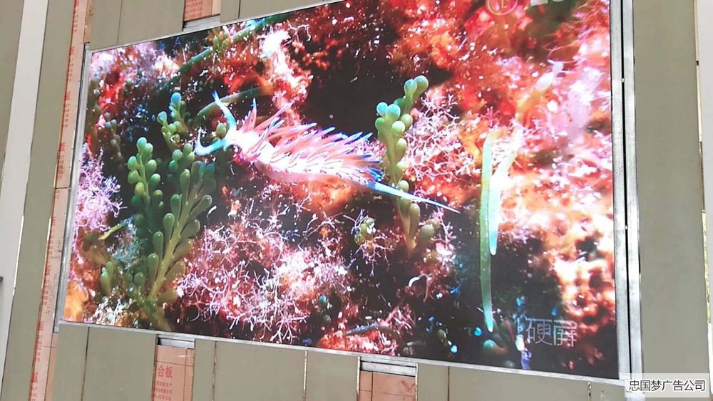 led广告制作安装展示
